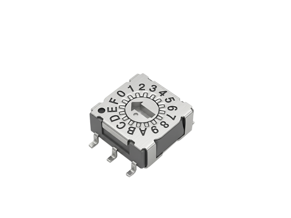 程序开关 DIP Switches