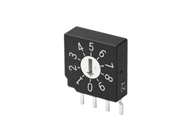 程序开关 DIP Switches